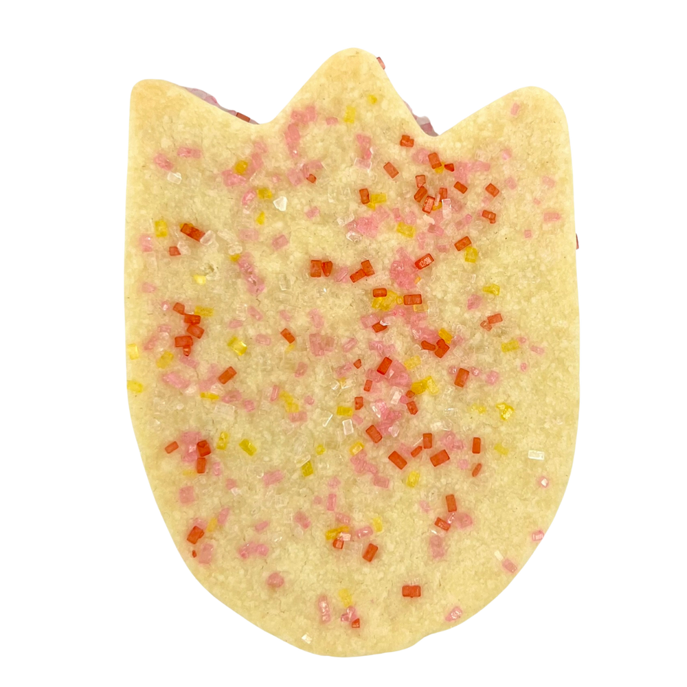 Tulip - Sprinkled